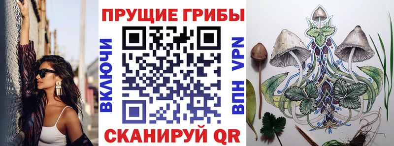 купить  цена  Дзержинск  Псилоцибиновые грибы Cubensis 