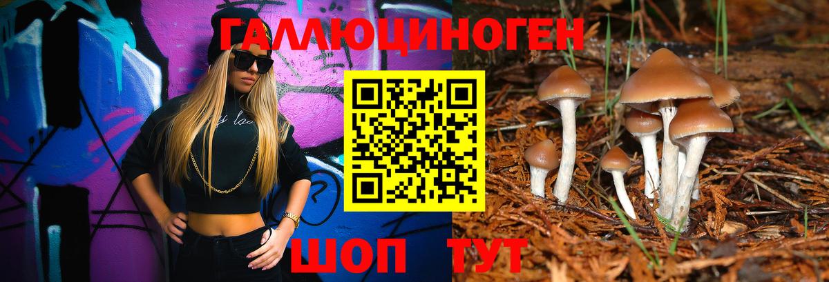 Галлюциногенные грибы Cubensis Дзержинск